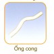 Ống cong 32