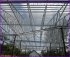 Vì kèo thép nhẹ chống rỉ Steeltruss cho mái nhà 0902369078