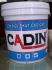 Chuyên cung cấp sơn nhựa CADIN tại TPHCM 