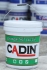 Sơn nước ngoại thất CADIN – mang lại vẻ đẹp sang trọng cho ngôi nhà