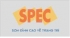 Bột trét Spec giá bán sỉ -  Giao hàng tận nơi. 