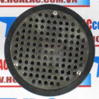 Bầu thu nước mái gang và Inox DN80 mặt bằng