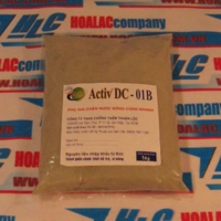 Activ DC-01B