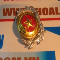 Sao bảo vệ loại lớn
