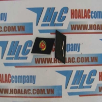 Ve áo loại thường