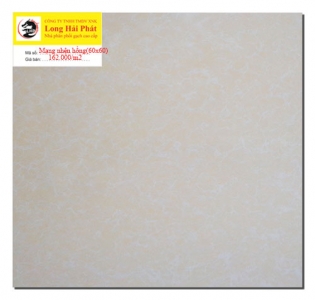 Bóng kiếng mạng nhện hồng 60