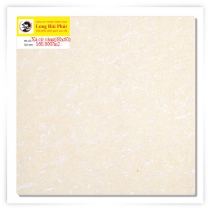 Xà cừ vàng 60