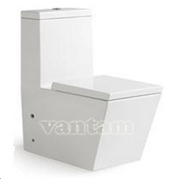 Bàn cầu 1 khối Rivington tiêu chuẩn Úc