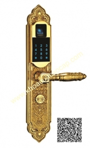 KHÓA VÂN TAY CAO CẤP FC208G SANG TRỌNG