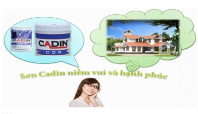 ĐẠI LÝ BÁN SƠN NƯỚC NỘI THẤT LAU CHÙI CADIN GIÁ RẺ