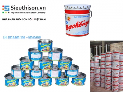 ĐẠI LÝ BÁN SƠN DẦU BẠCH TUYẾT MÀU VERT 618 LON 3KG GIÁ RẺ