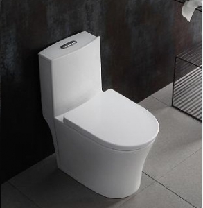 Bồn cầu 1 khối Rivington RVT 3151
