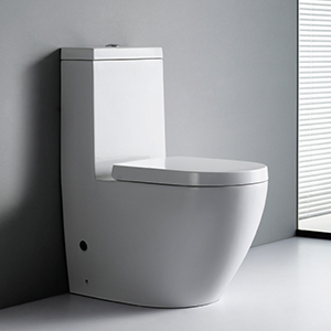 Bàn cầu 1 khối Rivington RVT 3102
