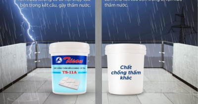 CHẤT CHỐNG THẤM TS 11A